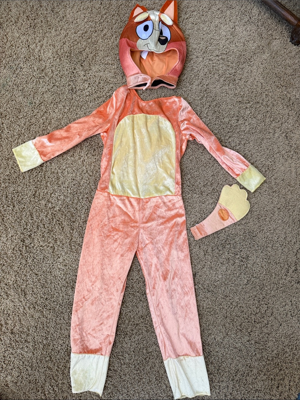 Bingo Costume